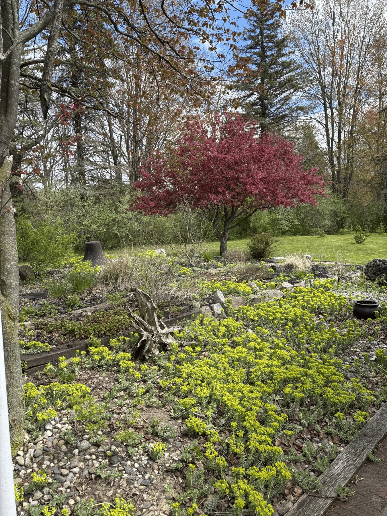 River-stone landscaping with evergreen plantings beside the home