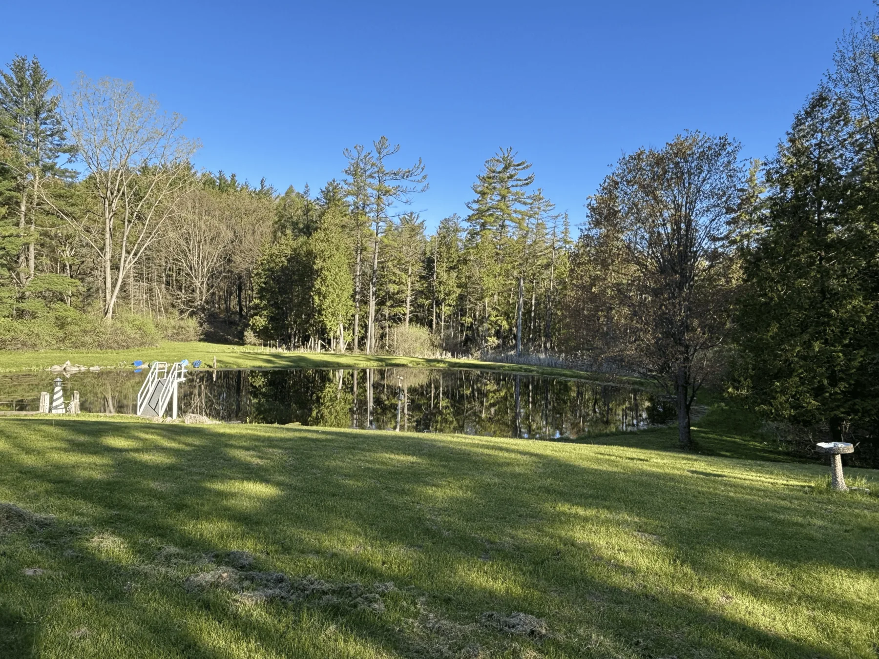 Expansive lawn leading to the spring-fed pond